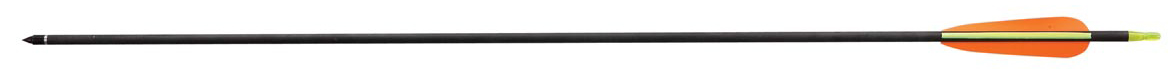 KARBONSKA STRIJELA ZA LUK D-030 30INCH/76CM-METALNI ŠILJAK