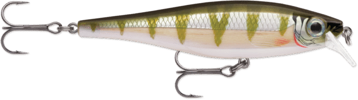 RAPALA BX MINNOW BXM10