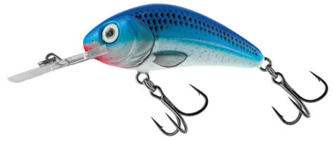 SALMO HORNET H3.5 RATTLIN