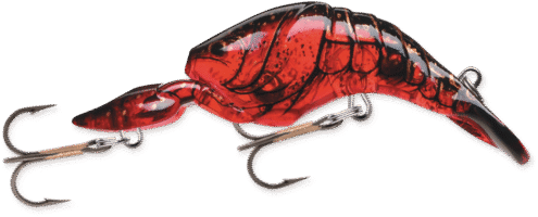 STORM THUNDERCRAW 07