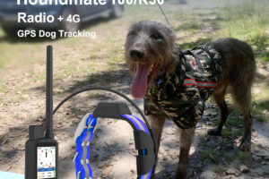 TR-DOG GPS ZA PSE