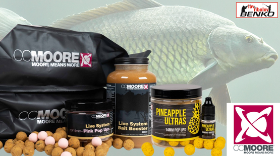 CC MOORE NOVO U PONUDI