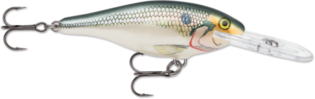 RAPALA Shad Rap 8 cm – Floating vobler